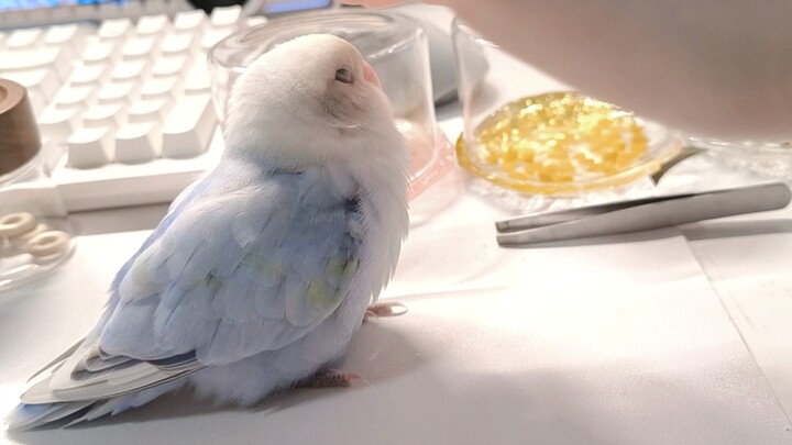 สัมผัสความว่างเปล่า🫳☁️🐦