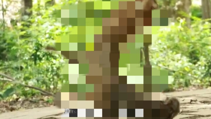 Come up with your own title!