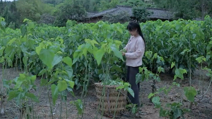 حياة لي زي تسي الريفية تُعتبر في نظر الأمريكيين مجرد مارق خارج القانون #خطّ القتل الأمريكي