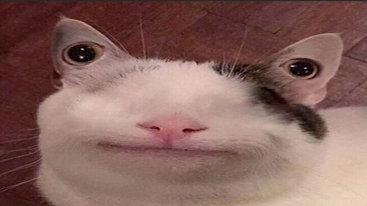 เผื่อคุณยังไม่รู้ว่าตัวตลกหน้าตาเป็นอย่างไร