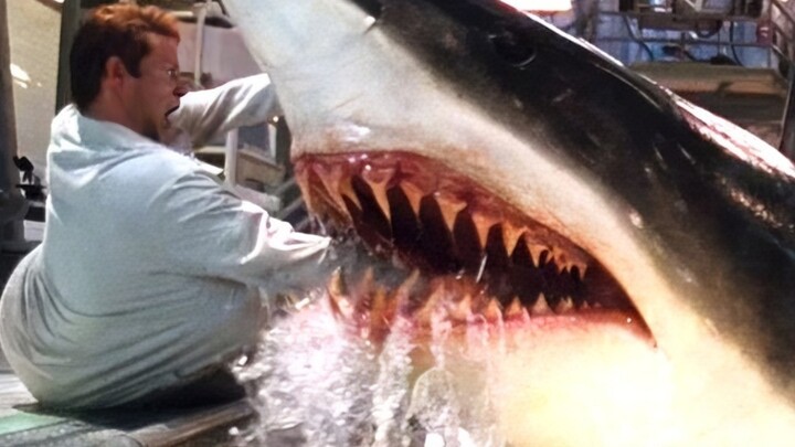 Scientists experiment on a great white shark, but unexpectedly the shark goes berserk and swallows t