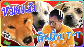 ตลก ! จะสอนหมายังไม่ทันเริ่มก็หมด 200,000 ! EP.1 - KHONPETS