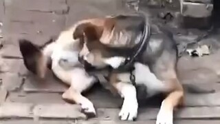 "Tidak memilih makanan saat lapar"