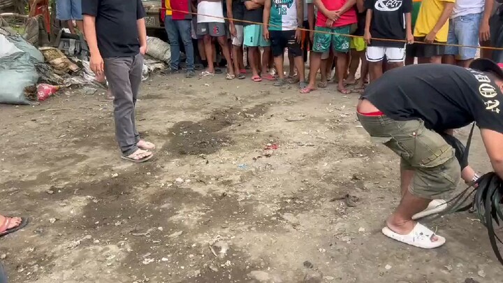 Matangkad kalaban pero stag.Vs Matanda alimbuyugin satin pangalawang laban nya na.