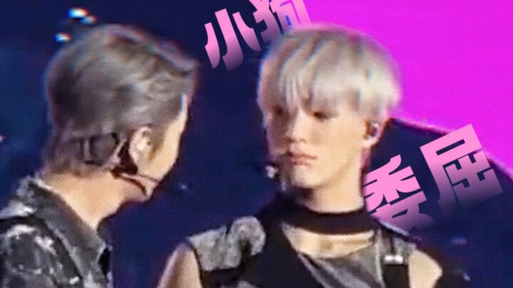 “Knowing how to pout and act the wronged one is a puppy’s best dowry” [Nuo-Jun/Jiang]