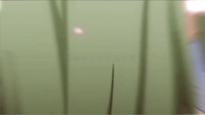 或许从未喜欢，只是刚好停在了喜欢的那一刻