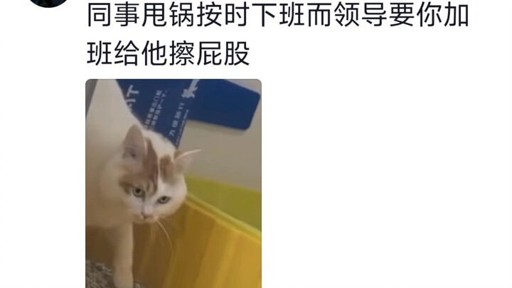 It’s just like when I see my roommate not flushing after using the toilet.