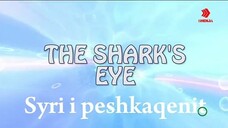 Winks - Sezoni 5 Episodi 23 - Syri i peshkaqenit (Shqip - Alsat M l TV Shenja)