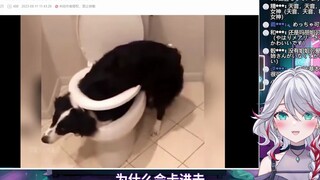 Japanese natural girl watches "Dog: Can I have such an important thing like my brain?"