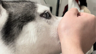 You thought I couldn't catch you if you ran upstairs, huh?