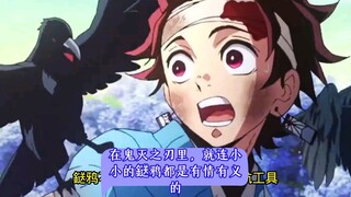 在鬼灭之刃里，就连小小的鎹鸦都是有情有义的