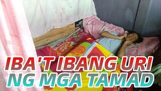 IBA'T IBANG URI NG MGA TAMAD