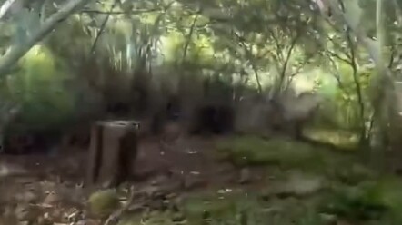 Căn cứ bí mật