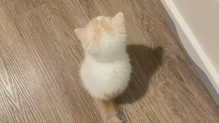 Includes a Little Angel (I’m Sure!)