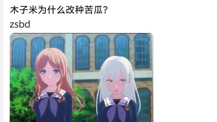 木子米为什么改种苦瓜