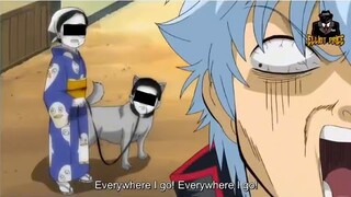 忠実で従順な彼女たち。【Gintama Funny Moments】 銀魂 面白いシーン