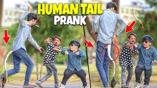 Human Tail Prank - Funny Reactions | @NewTalentOfficial