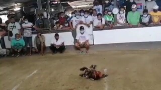 Binabaeng naghahanap ng kilikili 😅
