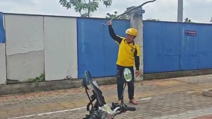 Meituan is really experienced at catching snakes!