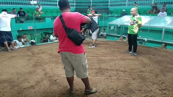 2 Cock Ulutan sa Gallera De Legazpi, nakatyamba, champion po tayo