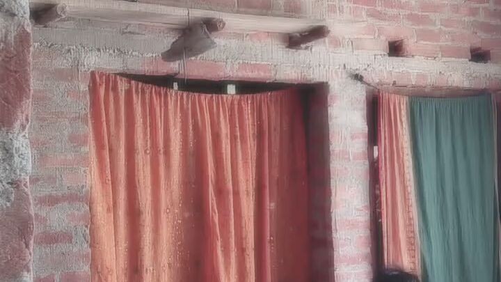 💗💗💗💗💗