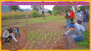 Nông Nghiệp VIỆT NAM ở Châu Phi || Dẫn Đội Chuyên Gia Nông Nghiệp Thăm Khu Trồng Lúa Thử Nghiệm