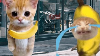 Banana Cat was selling bananas, but they were stolen by a doll.