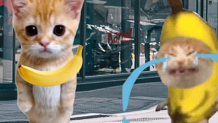 Banana Cat was selling bananas, but they were stolen by a doll.