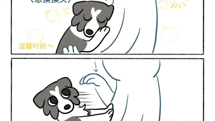 Chó, muốn bắt thì phải buông.