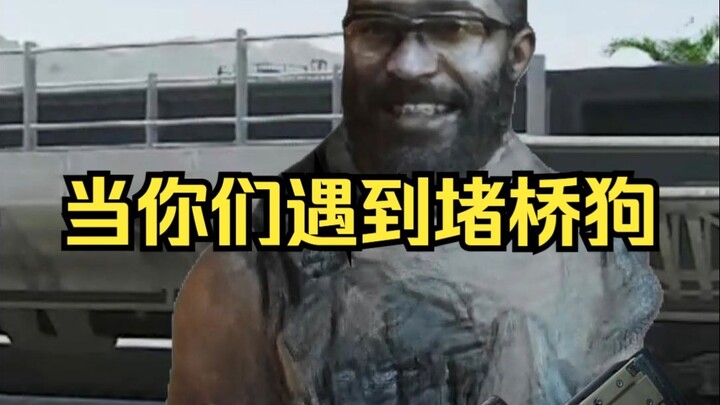 When You Encounter a Bridge-Trafficking Dog