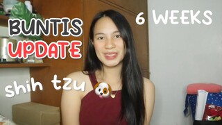 BUNTIS UPDATE! 6 WEEKS PREGNANT