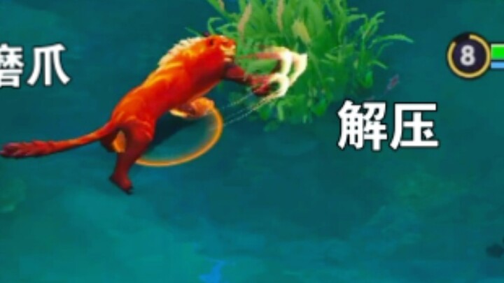 ลูกแมวจะมอบ ASMR ให้คุณก่อนนอน ขอบคุณนะลูกแมว