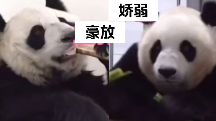Aibao vs. Dingding vividly illustrates the difference between how Lin Daiyu and Lu Zhishen would spe