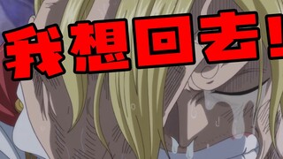 【速看海贼144期】山治归来！新联盟组成！——万国篇09
