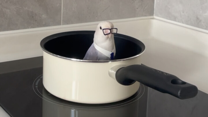 Ketika pasangan serumahmu adalah seorang bos kecil berusia 2 tahun