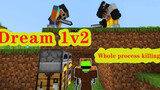 [Game]Fighting with two opponents singly by Dream in Minecraft