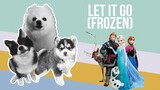 Let It Go (Frozen) but it's Doggos and Gabe
