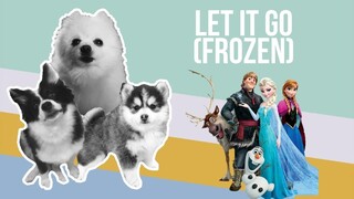 Let It Go (Frozen) but it's Doggos and Gabe