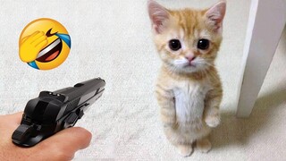 Funny Dogs Reaction Moments - Funniest Animals Video 😺🐶 2023 #57