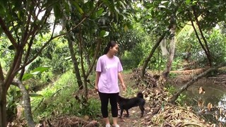 BỮA CƠM CHIỀU SÔNG NƯỚC MIỀN TÂY VỚI MÓN ĂN TRUYỀN THỐNG