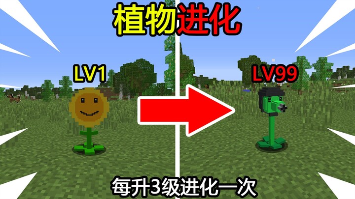Minecraft: Evolusi Tanaman! Setiap naik 3 level, tanaman akan berevolusi sekali! Bagaimana cara meng