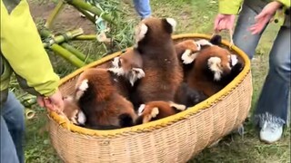 The happiest thing every day is receiving my kitty.