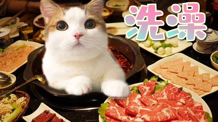 Mèo chân ngắn lần đầu tiên tắm, thế mà lại mê luôn bồn tắm không chịu rời!