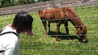 Flying on the grass CV Maeda Reina looks at Acao Materia Medica