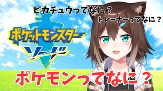 【ポケモンソード】初見だけどポケモンセンター封鎖したい【にじさんじ】【文野環/野良猫】