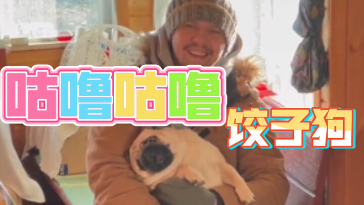 Gurgle-Gurgle Dumpling Dog