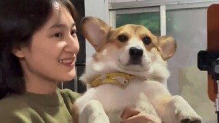 这是一条蓄谋已久的视频，双下巴不是，我和狗子给大家拜年啦！