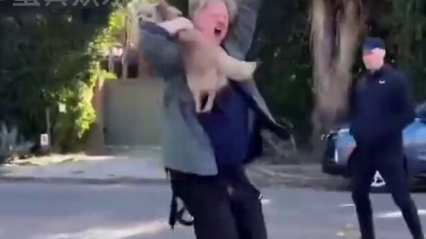 Nhìn thấy điều này, tôi tuyên bố rằng tôi sẽ tha thứ cho thế giới trong một phút