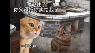 希望全世界的失孤家庭都能团聚