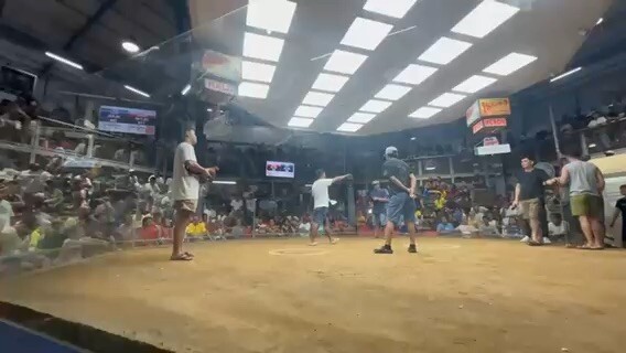 TL Sweater stag (win) champion